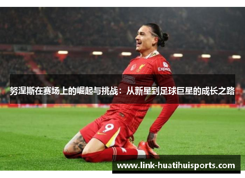 努涅斯在赛场上的崛起与挑战:从新星到足球巨星的成长之路 努涅斯在赛场上的崛起与挑战:从新星到足球巨星的成长之路
